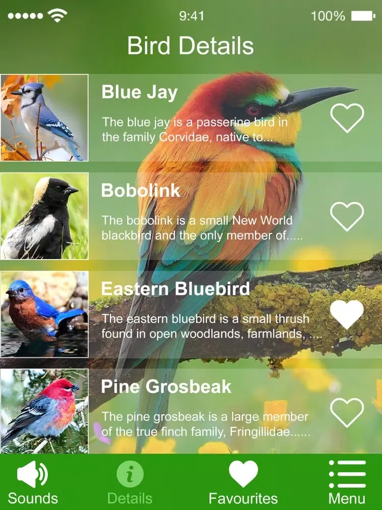 Capturas de pantalla de Bird Sounds of Nature 2020 iPad 