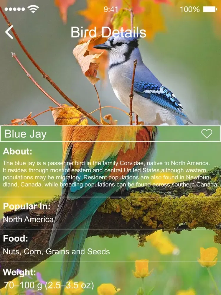 Capturas de pantalla de Bird Sounds of Nature 2020 iPad 