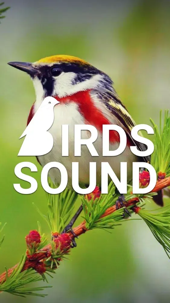 Capturas de pantalla de Bird Sounds of Nature 2020