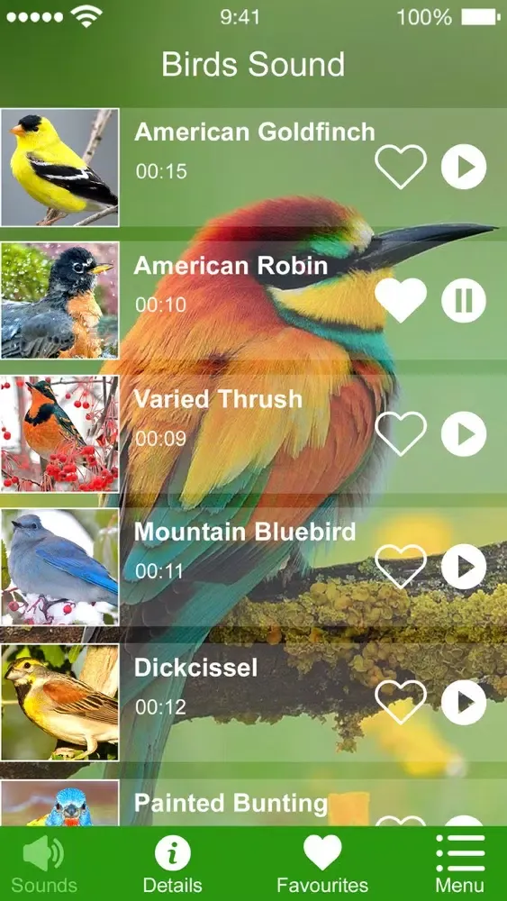 Capturas de pantalla de Bird Sounds of Nature 2020
