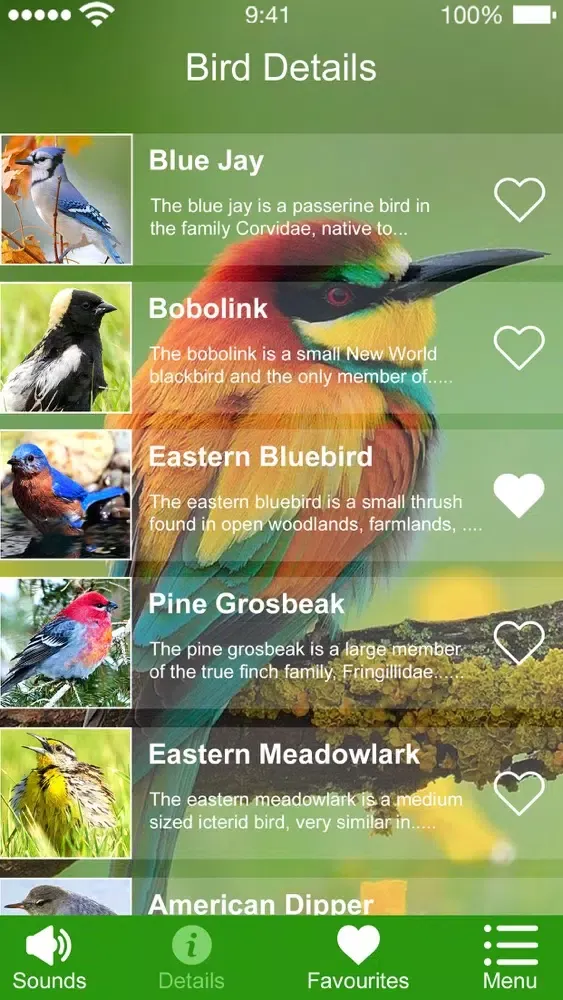Capturas de pantalla de Bird Sounds of Nature 2020