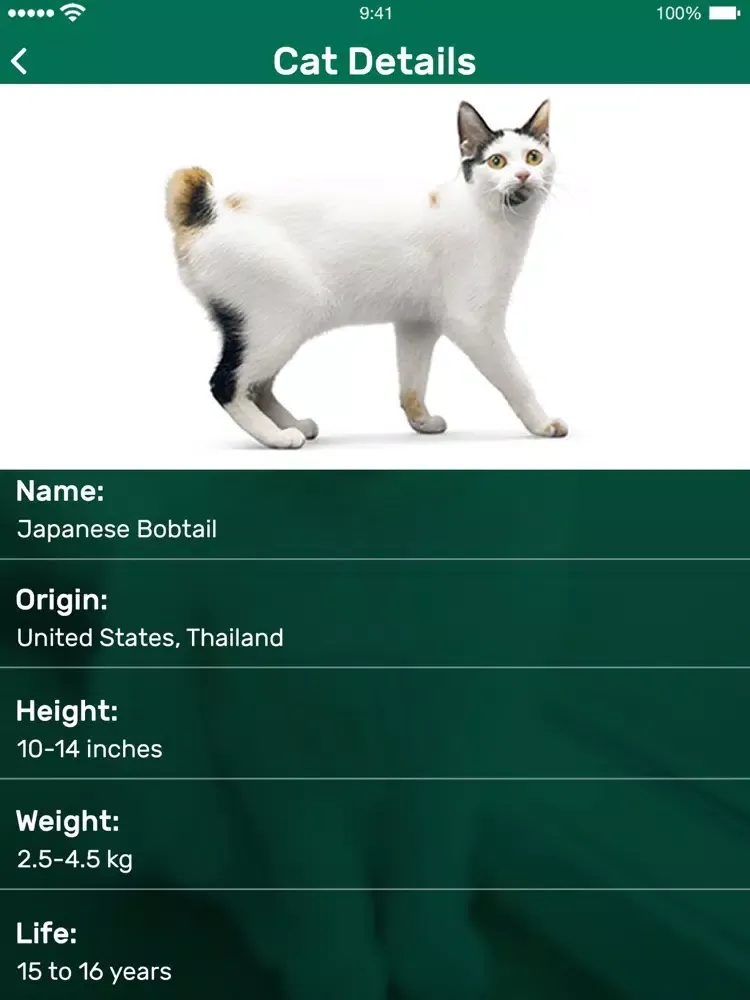 Capturas de pantalla de Cat Meow Whistle Sounds iPad 