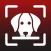 Identify Dog Breeds