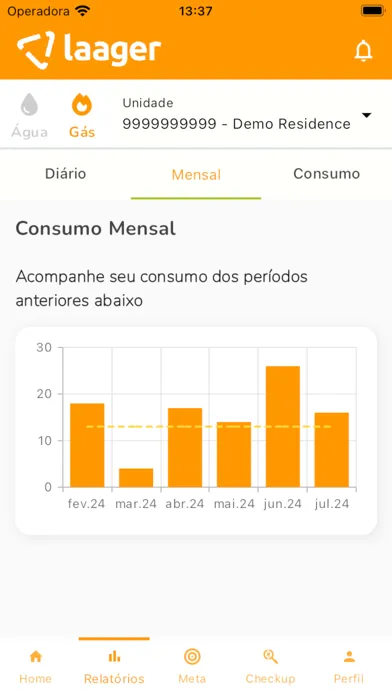 Laager - Meu consumo Ekran Görüntüleri