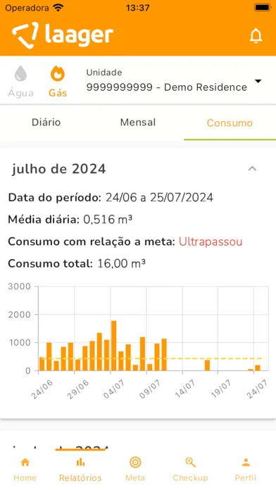 Laager - Meu consumo Ekran Görüntüleri