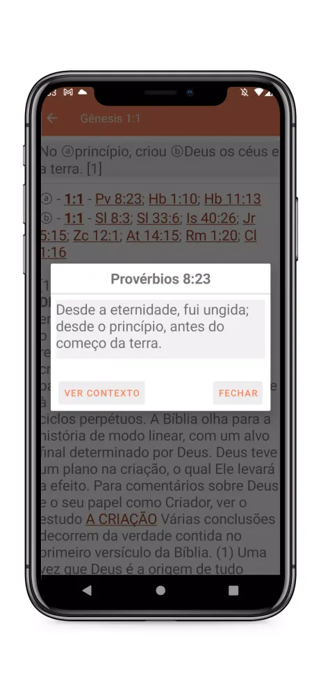 Screenshot di Bíblia de Estudos Comentada