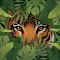 Wild Hunter Cats