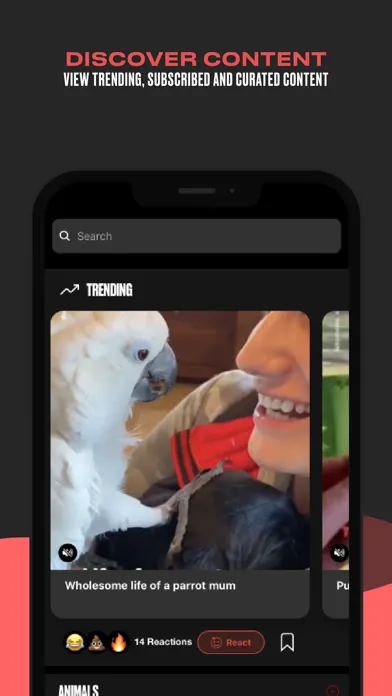 LADbible Screenshots