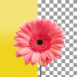 Background Remover App