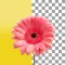 Background Remover App