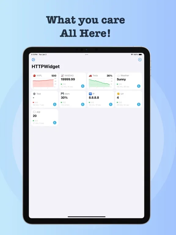 Screenshot di HTTPWidget iPad 