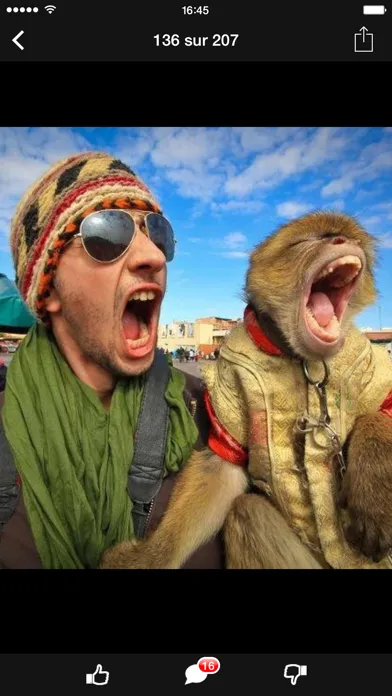 Скриншоты Morocco Funny