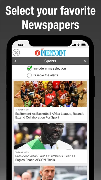 Screenshot di Nigeria Press