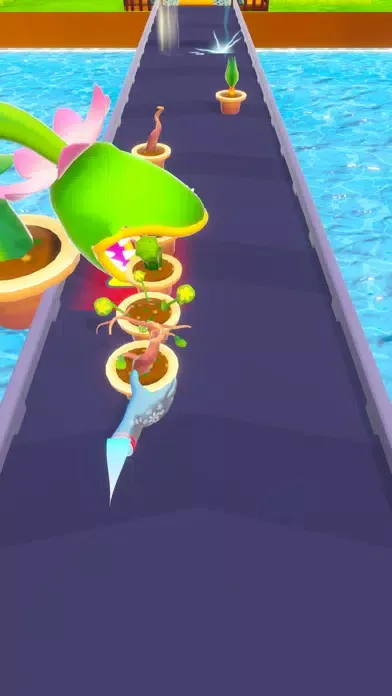 Zrzuty ekranu Garden Design Run