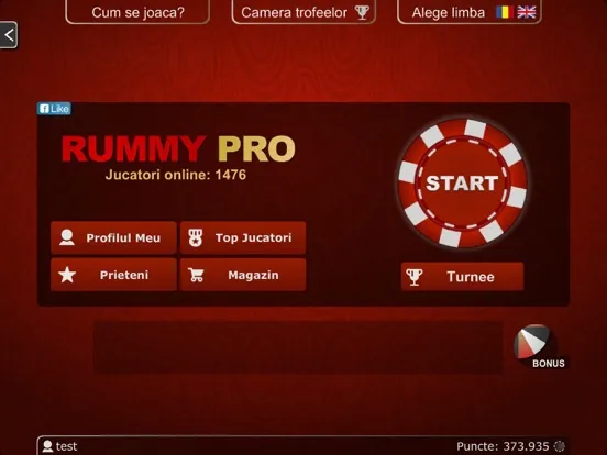 Rummy PRO - Remi Pe Tabla iPad 應用截圖