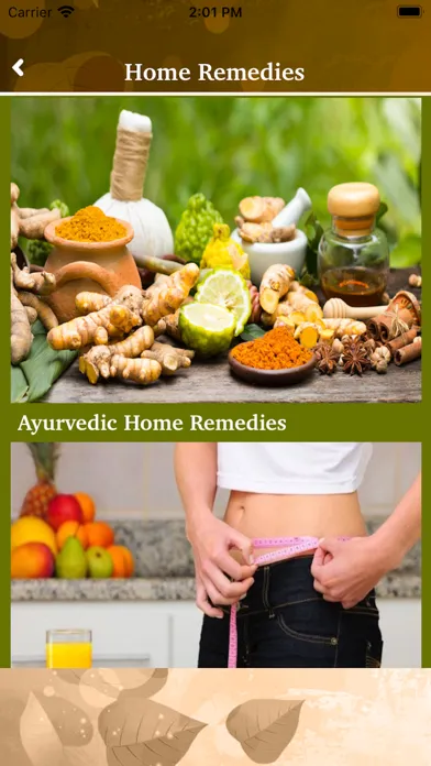 Ayurvedic Upchar Gharelu Upay应用截图