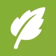 Green Network Tool Green Network Tool