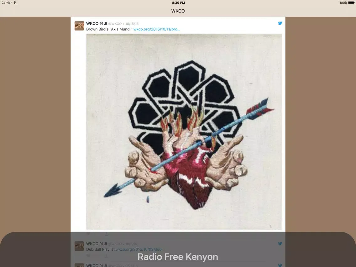 Скриншоты WKCO iPad 