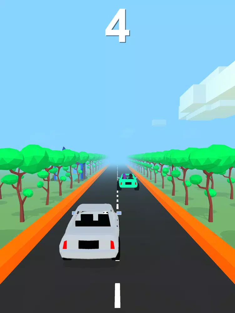 Zrzuty ekranu Lets Drive! iPad 