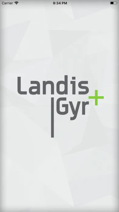 Home Energy Manager Landis+Gyr 스크린샷