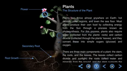 Earth and Science স্ক্রিনশট
