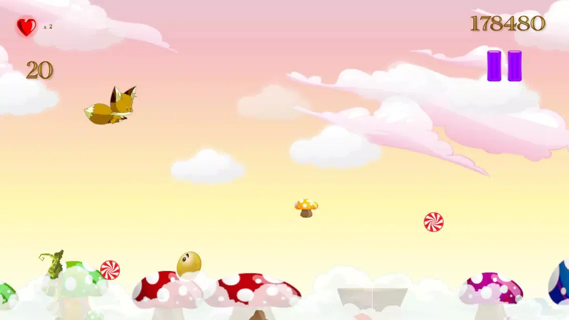 صور Sky-Block Fox Eternity Sky Flyer