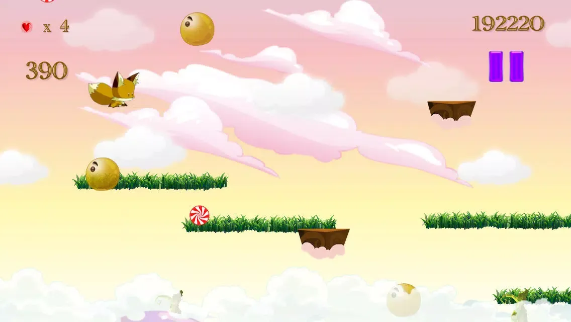 صور Sky-Block Fox Eternity Sky Flyer