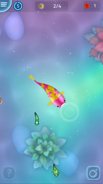 تصاویر Zen Koi Pro
