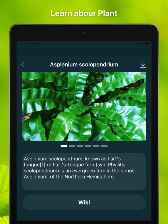 Capturas de tela do Plant Finder Tree identifer iPad 