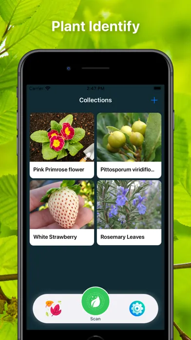 Capturas de tela do Plant Finder Tree identifer
