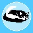 NAP CATzzz