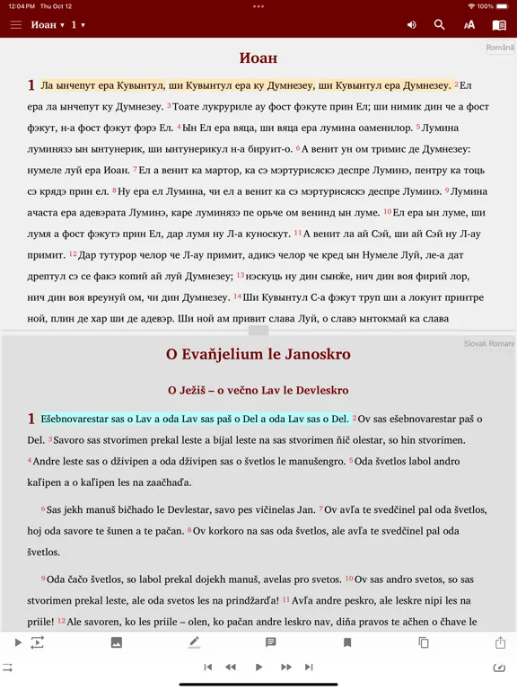 Romanian English Polish Magyar iPad  Screenshots