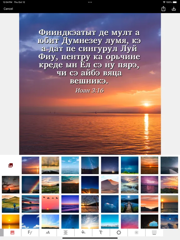 Romanian English Polish Magyar iPad  Screenshots