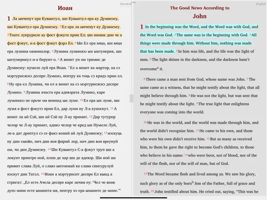 Romanian English Polish Magyar iPad  Screenshots