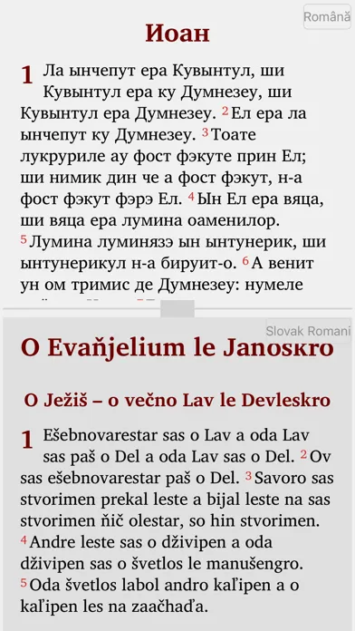 Romanian English Polish Magyar Screenshots