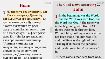 Romanian English Polish Magyar Screenshots