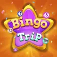 Bingo Trip - Big Win