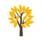 Die Lappen - APP