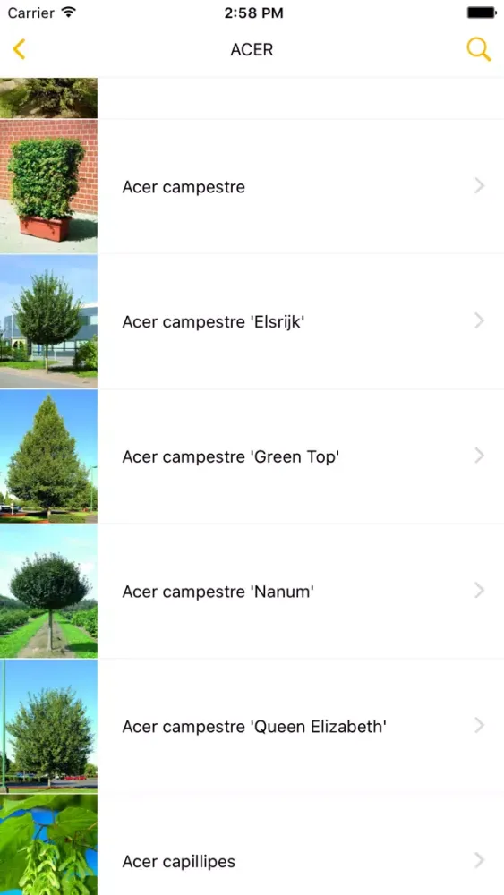 Capturas de tela do Die Lappen - APP