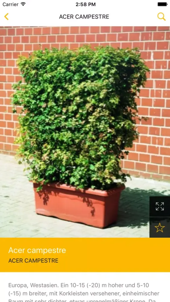 Capturas de tela do Die Lappen - APP