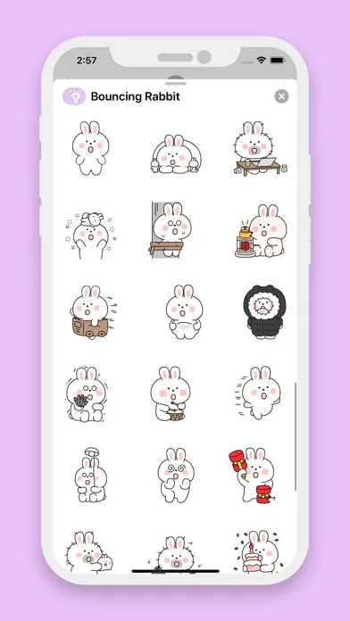 تصاویر Bouncing Rabbit Animated