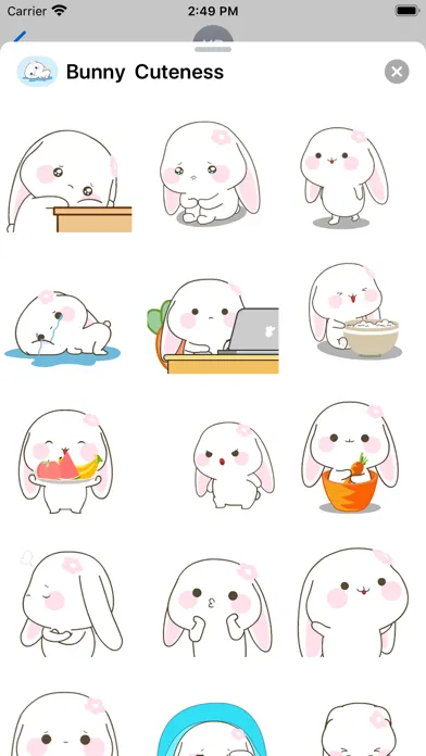 تصاویر Bunny Cuteness