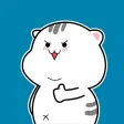 Funny Kitten Animated Stickers