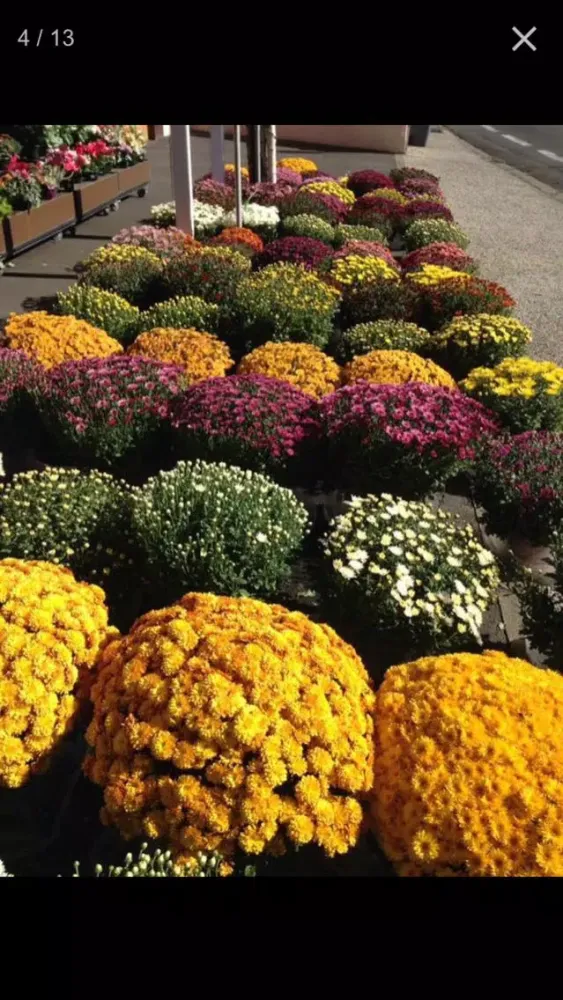 Côté Fleuri Pau स्क्रीनशॉट