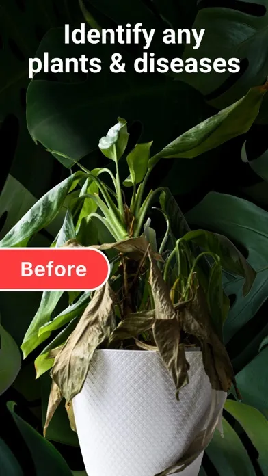 Capturas de tela do AI Plant Identifier・Care－Lily