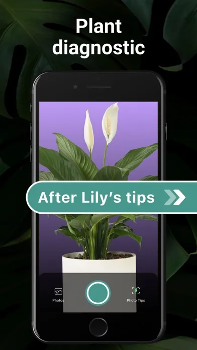 Capturas de tela do AI Plant Identifier・Care－Lily