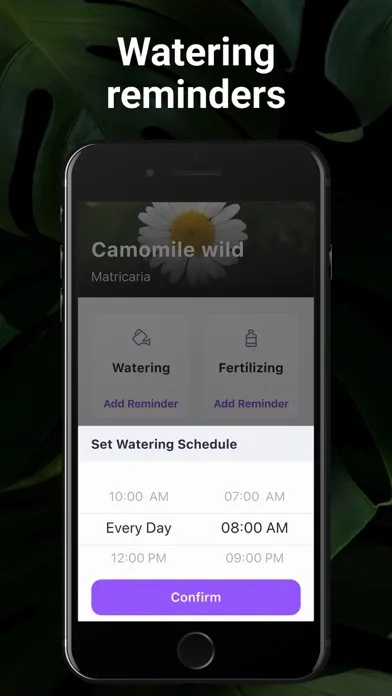 Capturas de tela do AI Plant Identifier・Care－Lily