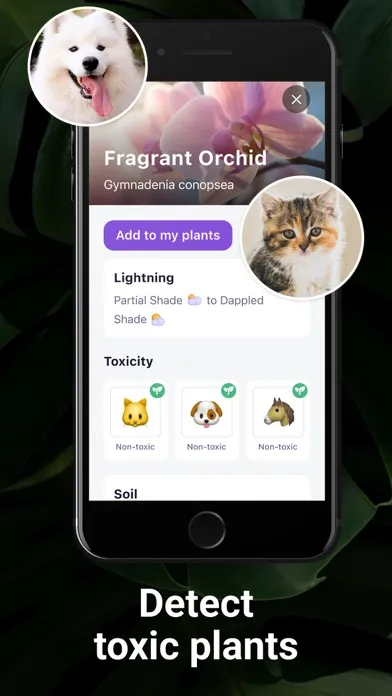 Capturas de tela do AI Plant Identifier・Care－Lily