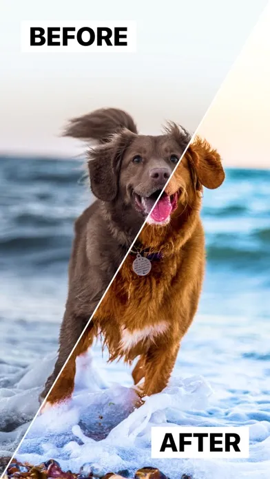 تصاویر Presets for Lightroom - Lighty