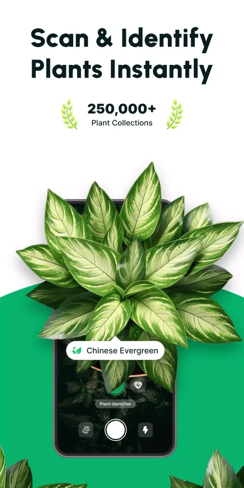 Captures d'écran de Plantist・AI Plant Identifier